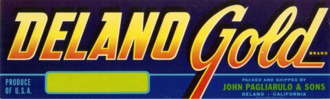 Delano Gold